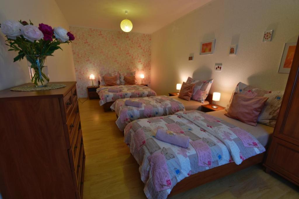 Apartmany Branickov Exteriör bild